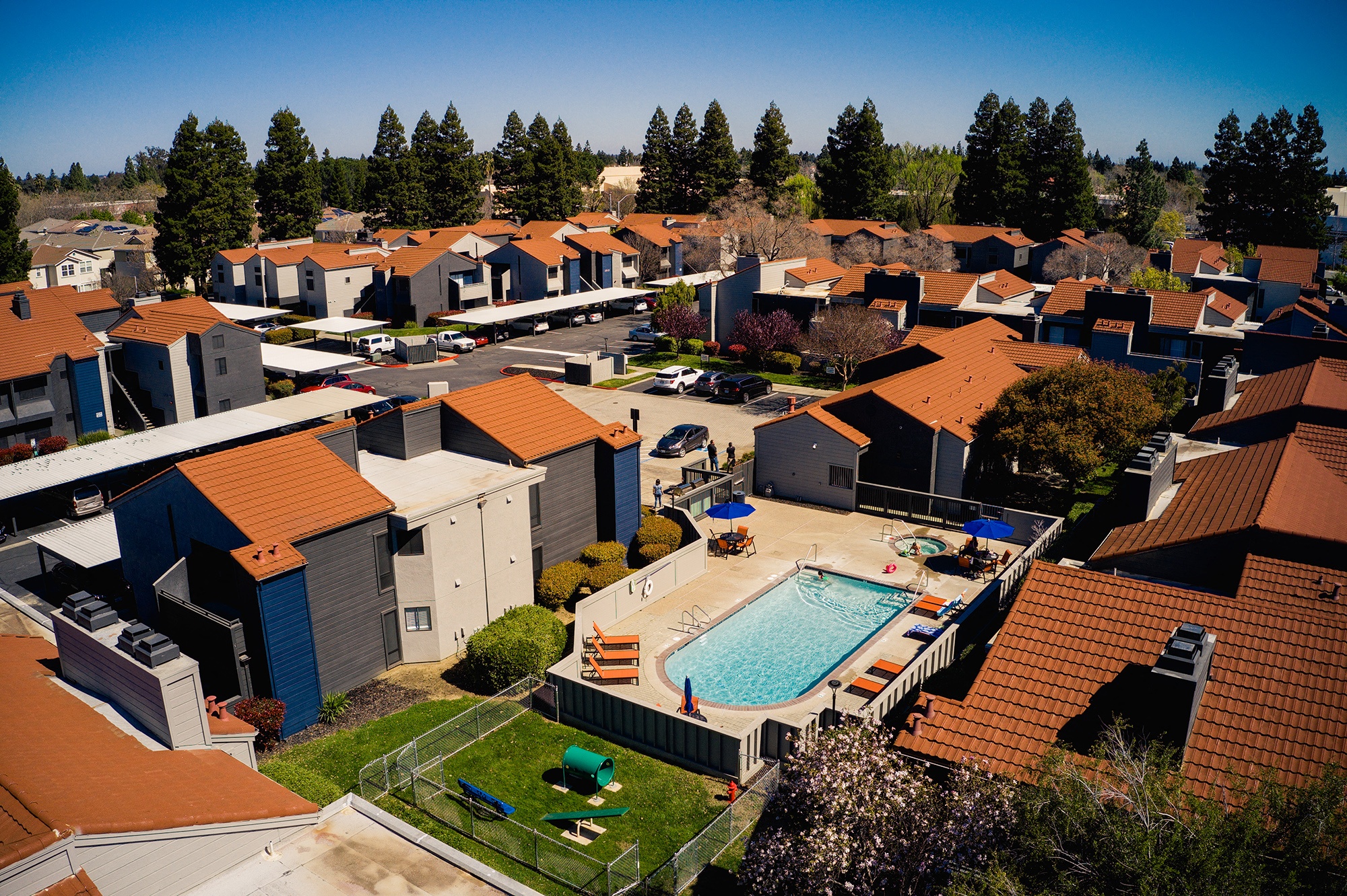 ReNew on Summerfield photo 3
